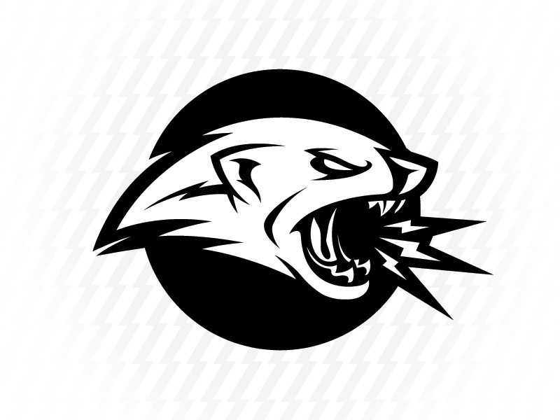 800x600 Mongoose Icon