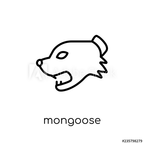 500x500 Mongoose Icon Trendy Modern Flat Linear Vector Mongoose Icon