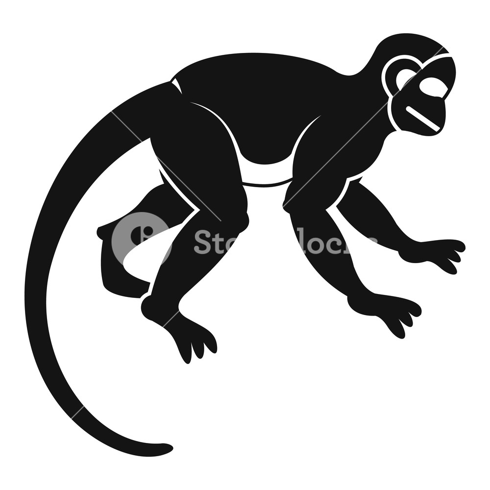 1000x1000 Capuchin Monkey Icon Simple Illustration Of Capuchin Monkey