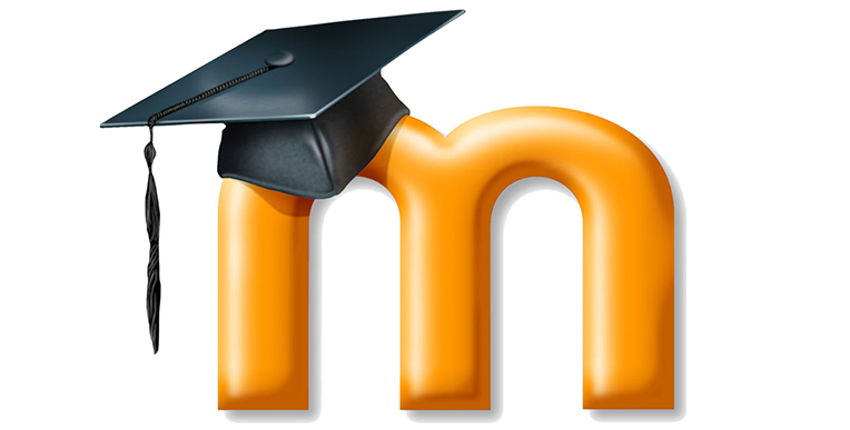 moodle assignment icon