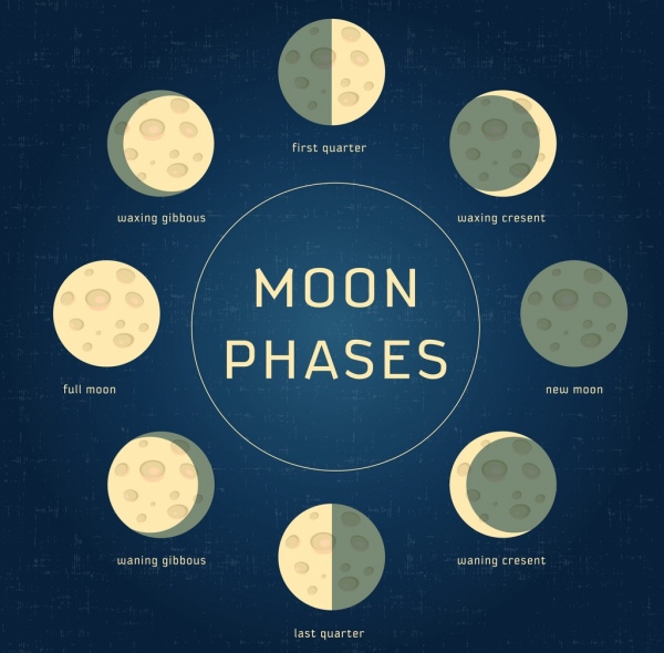 600x590 Moon Phases Icons Circle Objects Isolation Free Vector In Adobe