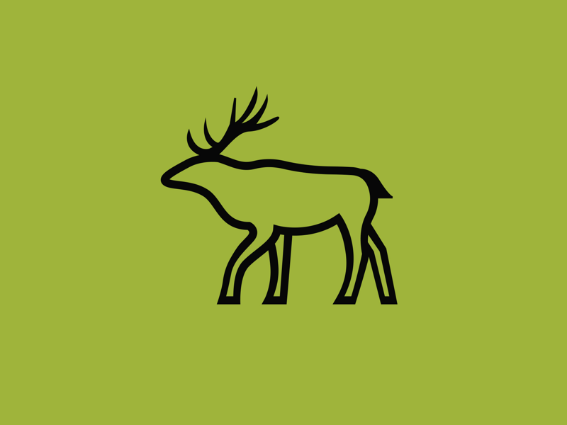 800x600 Moose Icon