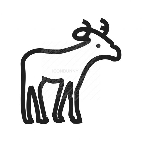 600x600 Moose Line Icon