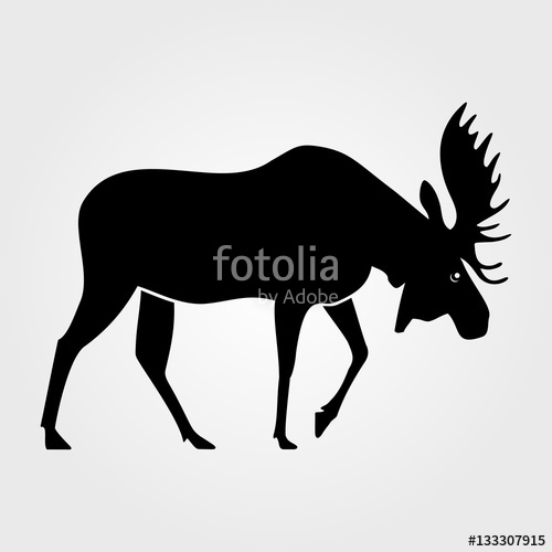 500x500 Moose Icon On A White Background Stock Image And Royalty Free