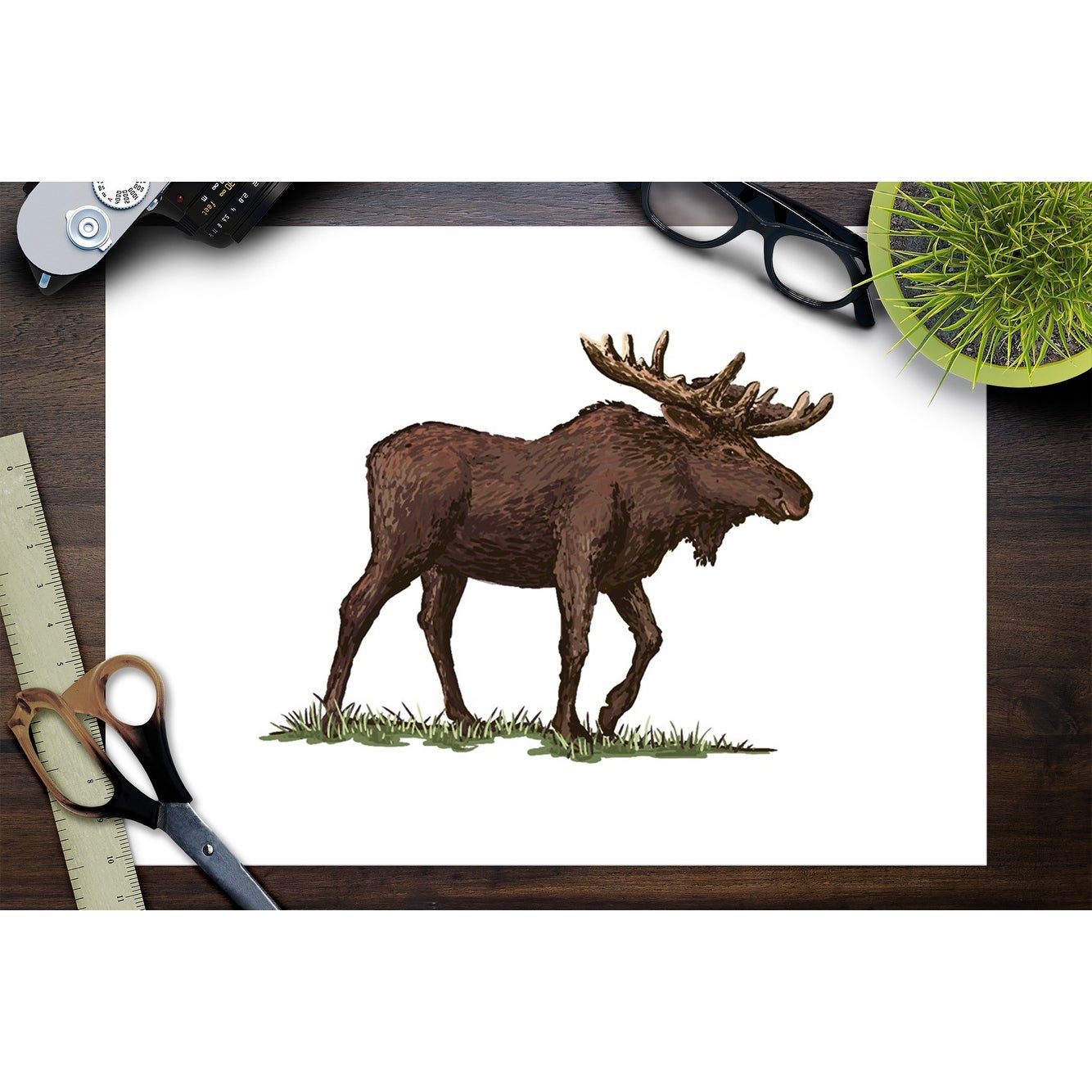 1334x1334 Shop Moose