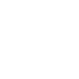 256x256 White Mosque Icon