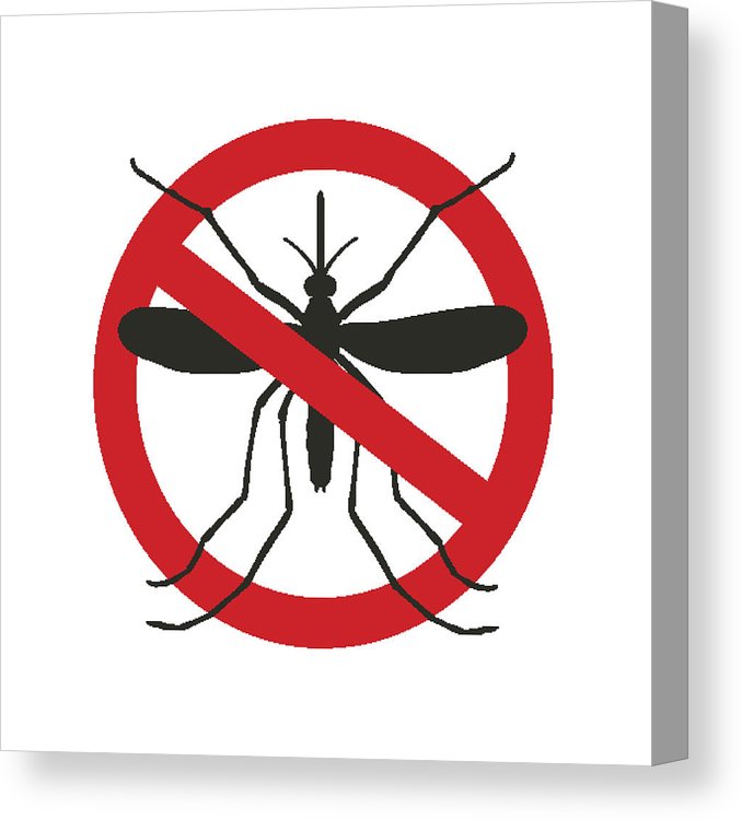678x750 Mosquito Icon Vector Flat Icon Isolated On The White Background