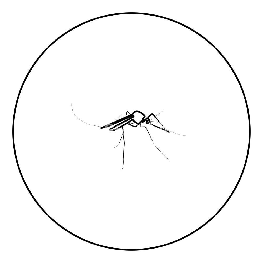 1000x1000 Mosquito Icon Black Color In Circle Outline Vector Illustration