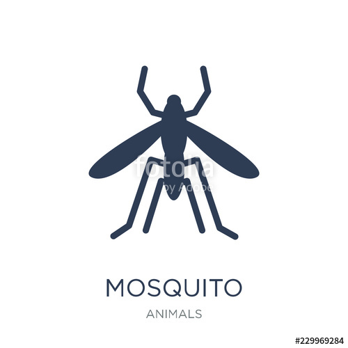 500x500 Mosquito Icon Trendy Flat Vector Mosquito Icon On White