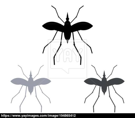512x448 Mosquito Icon Vector