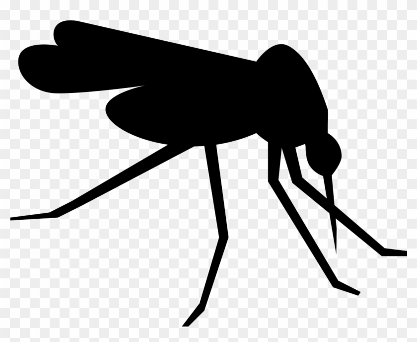 840x688 Mosquito Clip Art Images