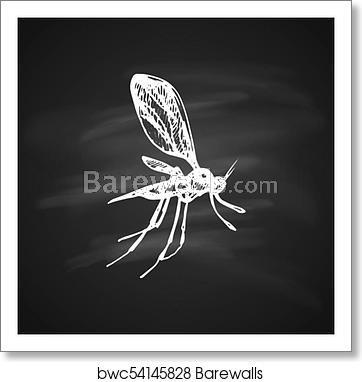 362x382 Mosquito Icon, Art Print Barewalls Posters Prints