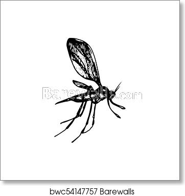 362x382 Mosquito Icon, Art Print Barewalls Posters Prints