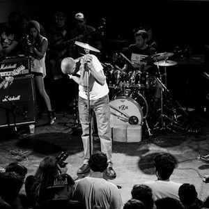 300x300 Moss Icon Son Gy