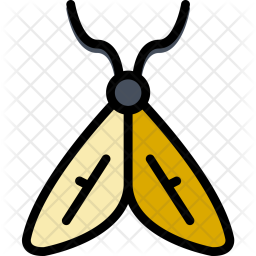 256x256 Moth Icon Of Colored Outline Style