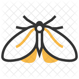 256x256 Moth Icon Of Colored Outline Style