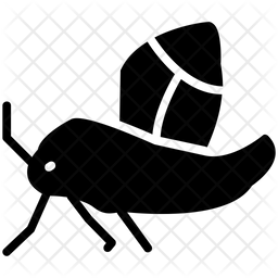 256x256 Moth Icon Of Glyph Style