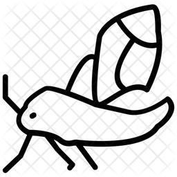 256x256 Moth Icon Of Line Style