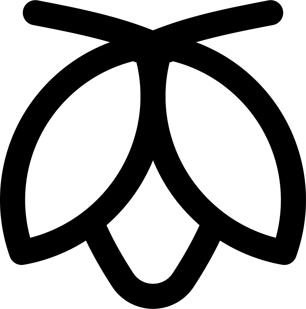 980x990 Moth Png Icon Free Download