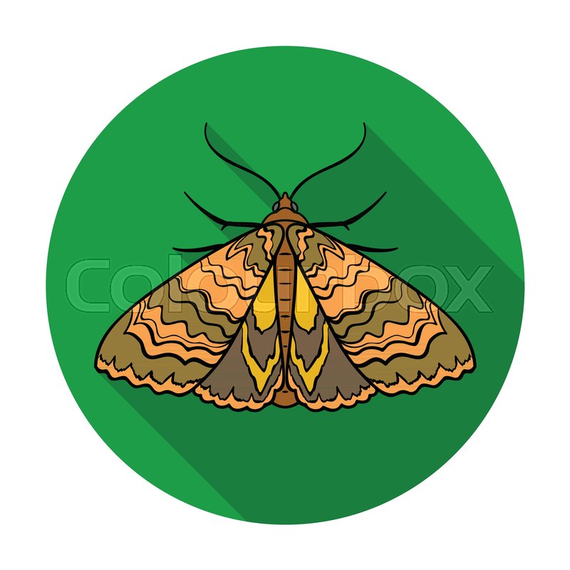 800x800 Moth Icon In Flat Design Isolated On Stock Vector Colourbox