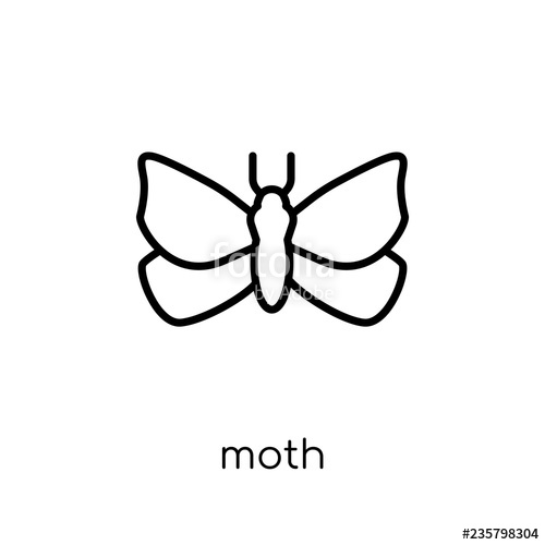 500x500 Moth Icon Trendy Modern Flat Linear Vector Moth Icon On White