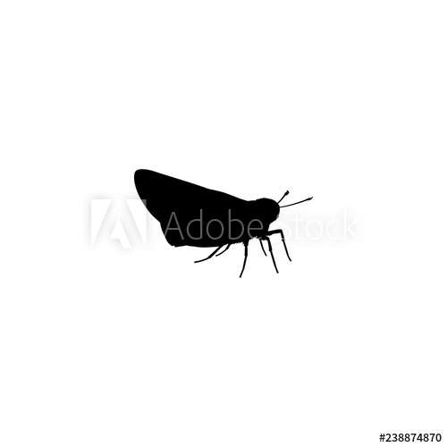 500x500 Moth Vector Icon Moth Sign On White Background Moth Icon For Web