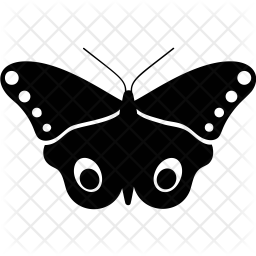 256x256 Male Io Moth Icon Of Glyph Style