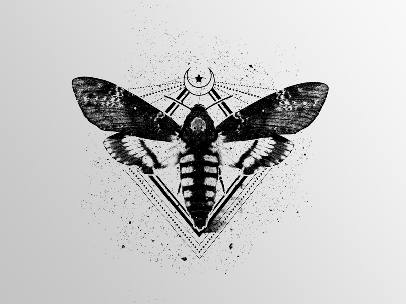 800x600 Metal Hammermoth Icon