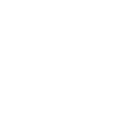 256x256 Free White Put In Motion Icon