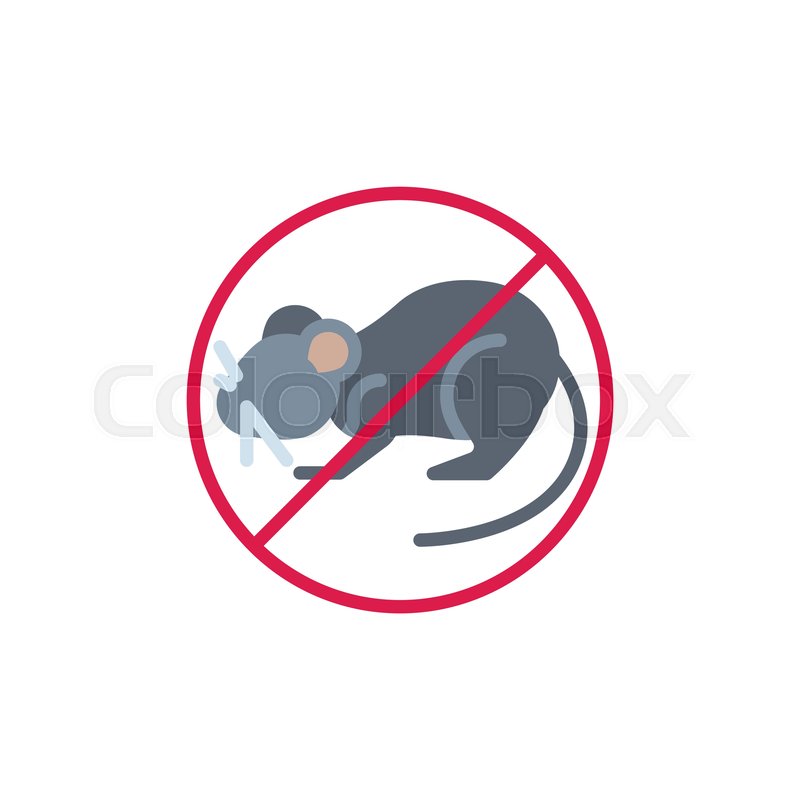 800x800 Stop Mouse Animal Flat Icon, Vector Stock Vector Colourbox