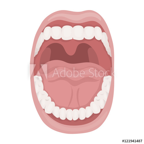 500x500 Mouth Icon In Cartoon Style Isolated On White Background Organs
