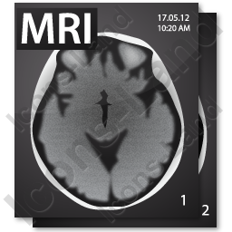 256x256 Mri Image Icon, Pngico Icons