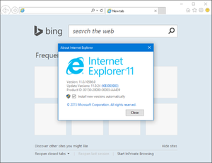 300x230 Internet Explorer