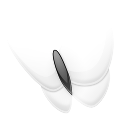 256x256 Msn, Butterfly Icon Free Of Crystal Bw Icons