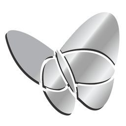 256x256 Msn Metallic Button