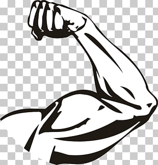 310x325 Strong Arm Png Cliparts For Free Download Uihere
