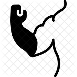 256x256 Muscle Icon Of Glyph Style