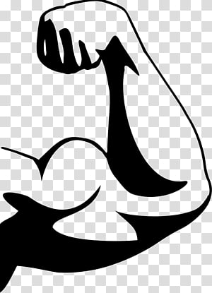 300x415 Arm Muscle Transparent Background Png Cliparts Free Download