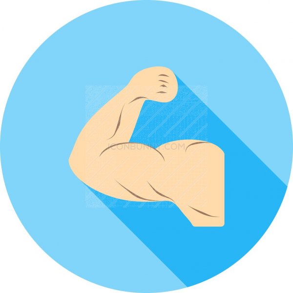 600x600 Muscles Flat Shadowed Icon