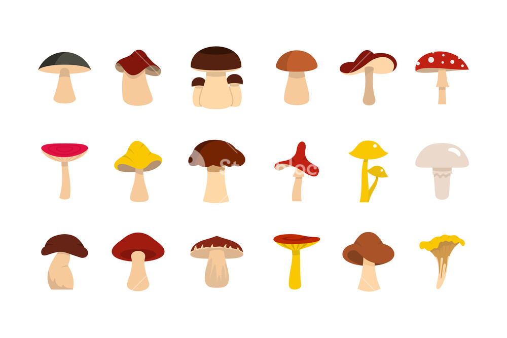 1000x667 Mushroom Icon Set Flat Set Of Mushroom Vector Icons For Web
