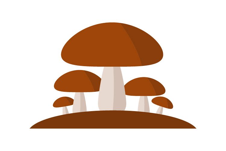 750x500 Mushroom Icon