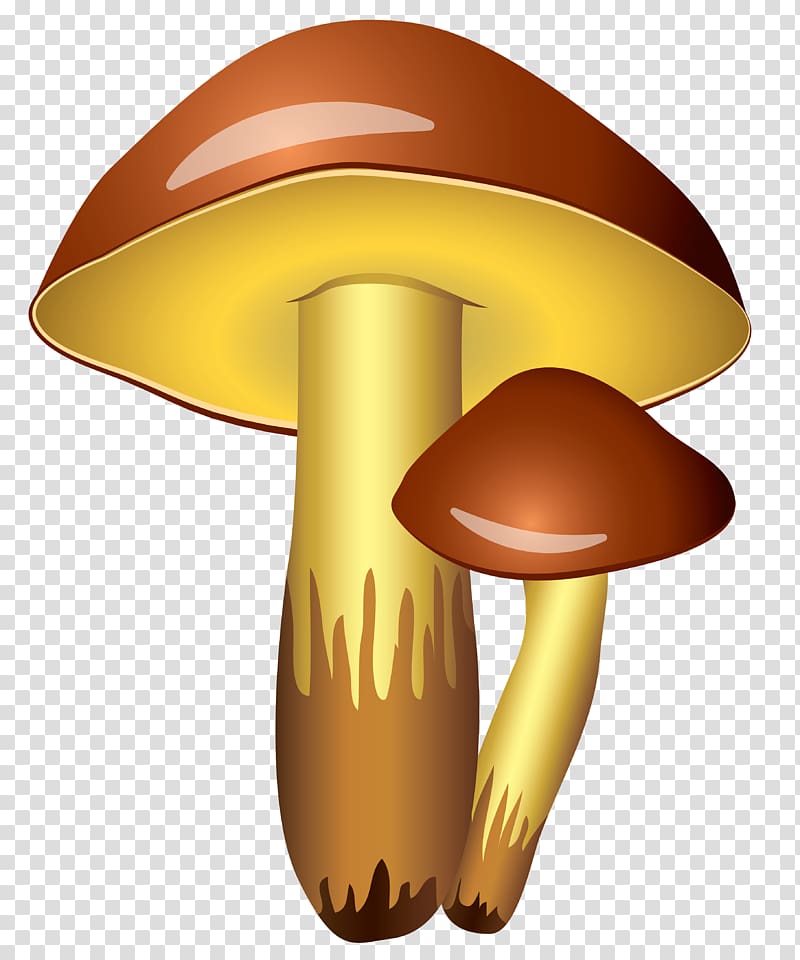 800x960 Two Brown And Maroon Mushrooms Illustration, Mushroom Icon