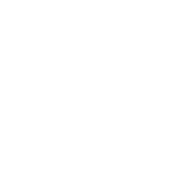 256x256 White Mushroom Icon