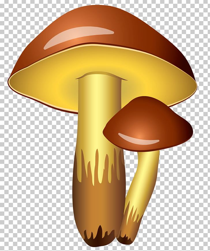 728x870 Mushroom Icon Png, Clipart, Autumn, Clipart, Clip Art, Common