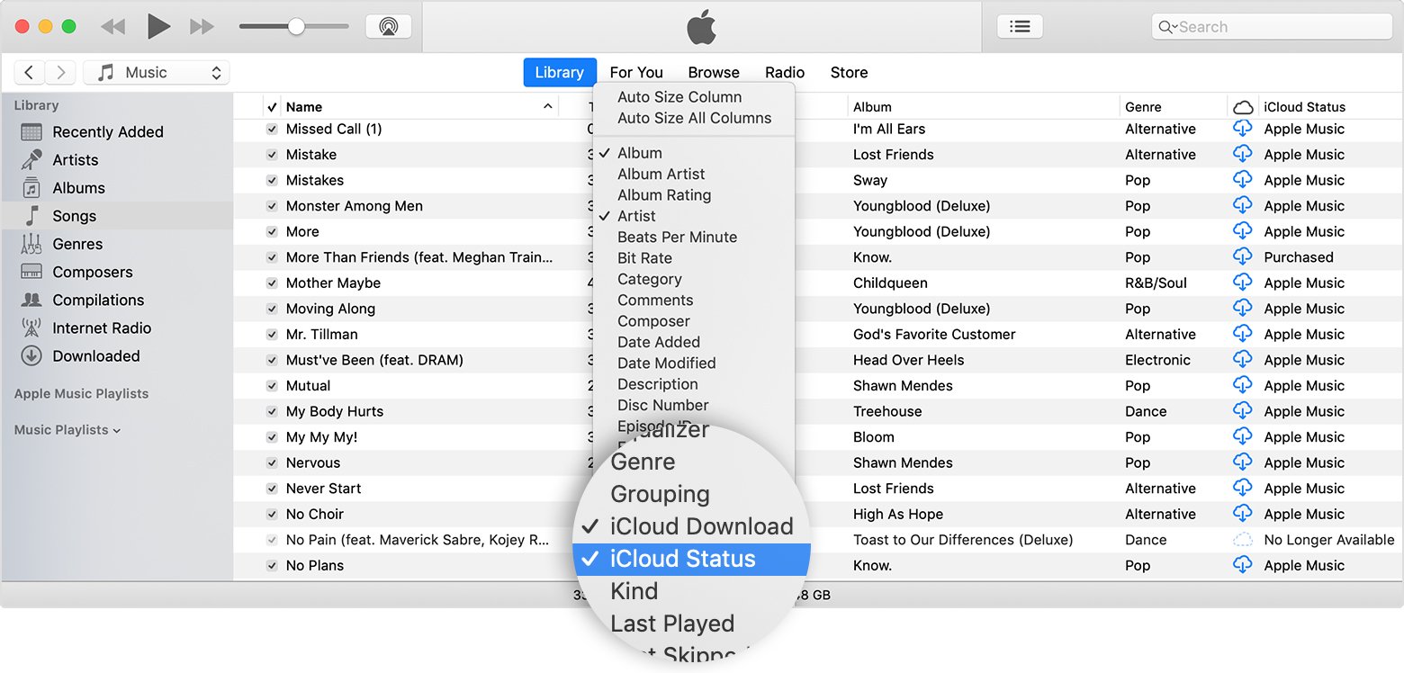 1560x748 About Icloud Music Library Icons And Status