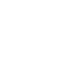 256x256 Free White Music Icon