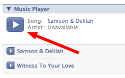 Download Or Rip Music From Facebook Profiles 250x157 Download Or Rip Music From Facebook Profiles