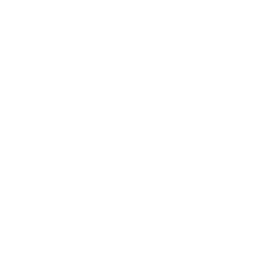 256x256 White Alto Saxophone Icon