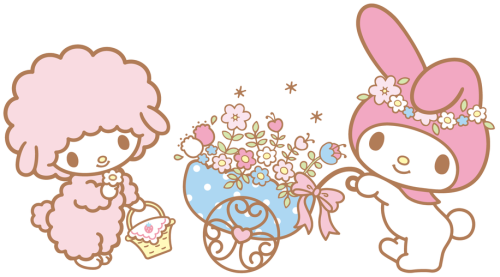 500x277 My Melody Icon Png Png Image