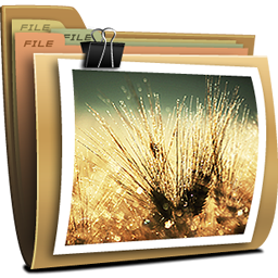 256x256 Folder My Pictures Icon